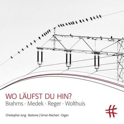 あなたは何処へ行くのか?