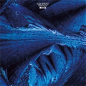 瞬きの星 瞬きの星