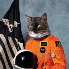 Surfing The Void＜Orange Vinyl＞