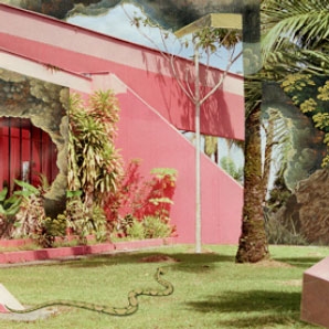 666 (Pink Vinyl)＜限定盤＞