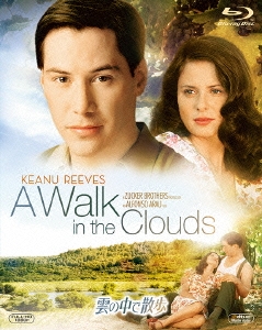 アルフォンソ アラウ 雲の中で散歩
