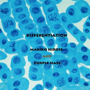 עҤPurple Haze/Differentiation[ZMZ-0006]