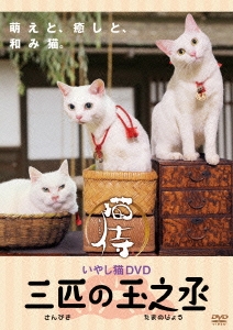 いやし猫 DVD 猫侍 三匹の玉之丞