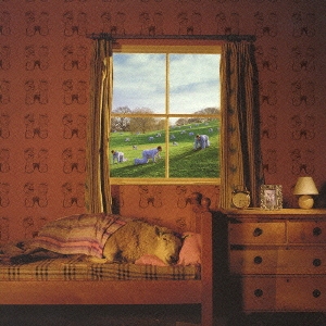 セイフティ・イン・ナンバーズ