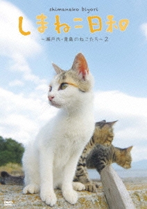テレビ愛媛開局45周年記念 しまねこ日和 ～瀬戸内・青島のねこたち～ 2