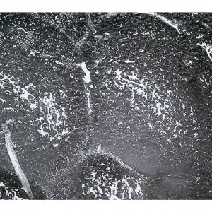 オブザベーション･アバウト･エアー