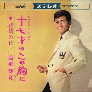昭和歌謡　昭和レトロ　当時物　西郷輝彦 十七のこの胸に 45RPM 西郷輝彦/十七才のこの胸に
