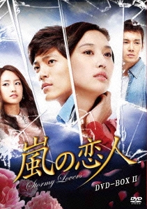 嵐の恋人 DVD-BOXII