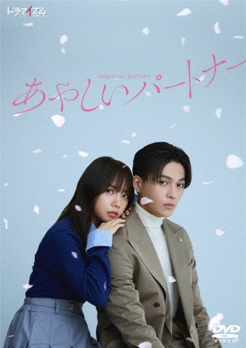 あやしいパートナー DVD-BOX