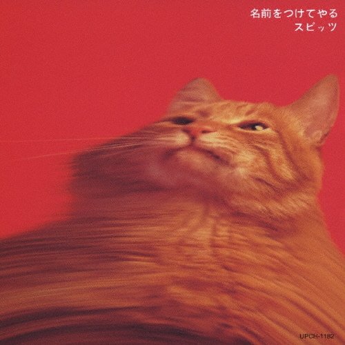 名前をつけてやる