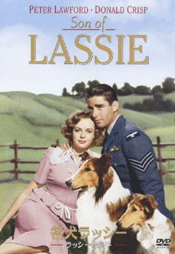 ピーター・ローフォード/名犬ラッシー/ラッシーの息子[DL-66910]