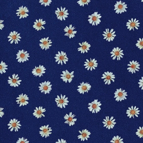 新品　キノコ帝国　東京　CD　2枚セット zaP5_G4350164W.JPG