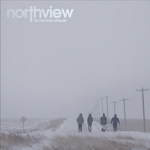 northview [CD+DVD]＜初回生産限定盤＞