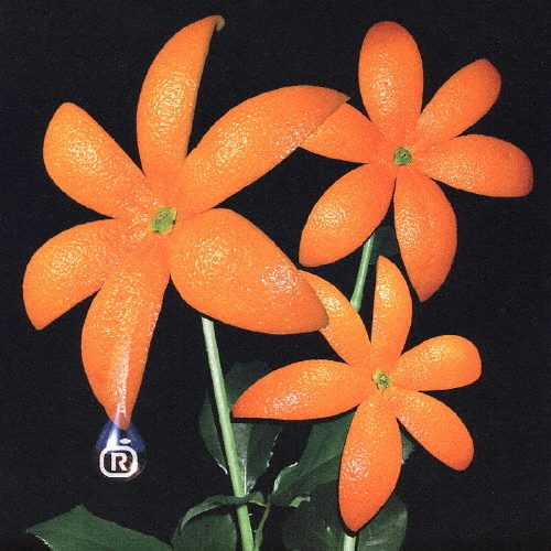 ORANGE RANGE　花　ミュージックギフトカード　オレンジレンジ Amazon.co.jp: 花: ミュージック