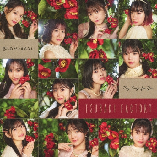 悲しみよとまれ 3CD+BD+PHOTOBOOK＜初回生産限定盤＞ DISCOGRAPHY | BiSH オフィシャルサイト