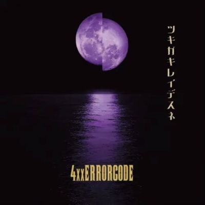 ルキ 様◇専用 CD(おまとめ) 4xxERRORCODE/ツキガキレイデスネ
