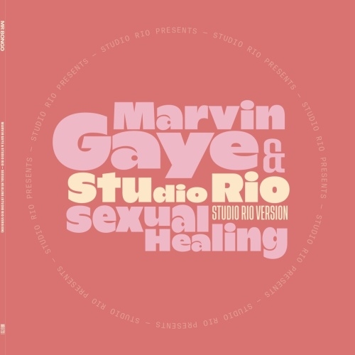 Sexual Healing (Studio Rio Version)