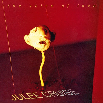 The Voice of Love 