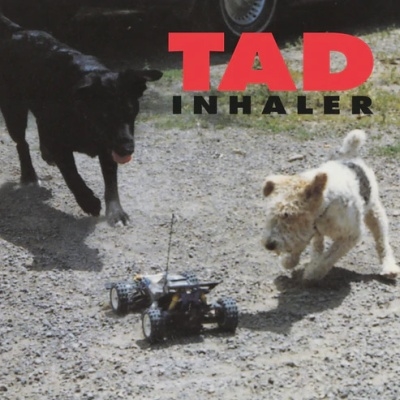 Tad/Inhaler＜限定盤＞