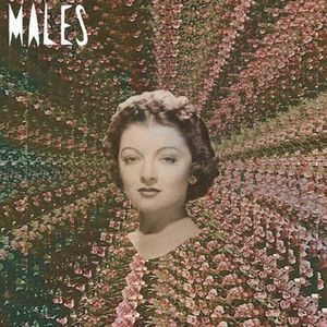 TOWER RECORDS ONLINE㤨Males/Run Run Run/Males Males Males[FISH011CD]פβǤʤ2,390ߤˤʤޤ