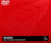 WANDS　解体　BEST OF WANDS VIDEO HISTORY DVD