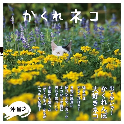 かくれネコ かくれネコ