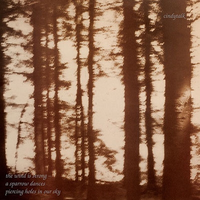 The Wind Is Strong...＜限定盤＞