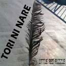 TOWER RECORDS ONLINE㤨LITTLE RED PUZZLE/TORI NI NARE[TRRD-0005]פβǤʤ524ߤˤʤޤ