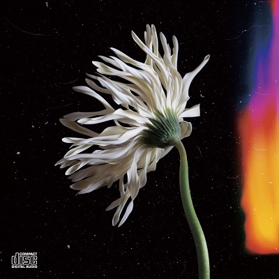 miss u/C U L8er miss u/C U L8er