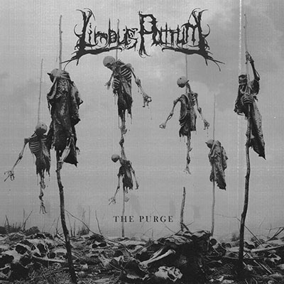 TOWER RECORDS ONLINE㤨Limbus Patrum/Purge[MEHE572]פβǤʤ2,690ߤˤʤޤ