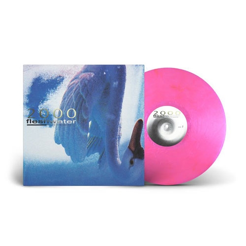 TOWER RECORDS ONLINE㤨Fleshwater/2000 In Search Of The Endless Sky/Fluorescent Pink Vinyl[CLCR150VINDIE]פβǤʤ5,990ߤˤʤޤ