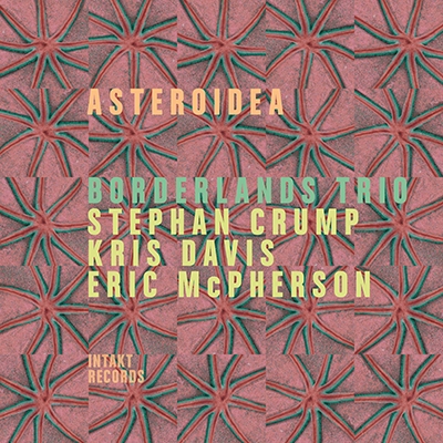 TOWER RECORDS ONLINE㤨Borderlands Trio/Asteroidea[CD295]פβǤʤ3,390ߤˤʤޤ