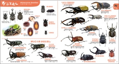 こどもずかん むし 777 英語つきしゃしんバージョン こどもずかん こどもずかん むし 777 英語つきしゃしんバージョン こどもずかん