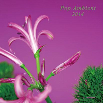 POP AMBIENT 2014 POP AMBIENT 2014