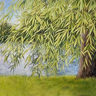 ナッシング・バット・グリーン・ウィロー ~ メアリー・サンズとジェーン・ジェントリーの歌 ナッシング・バット・グリーン・ウィロー ~ メアリー・サンズとジェーン・ジェントリーの歌