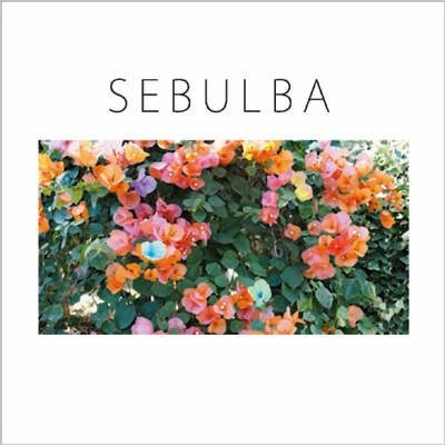 踊ってばかりの国/SEBULBA