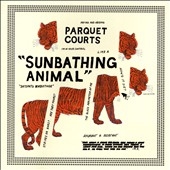 Sunbathing Animal Sunbathing Animal