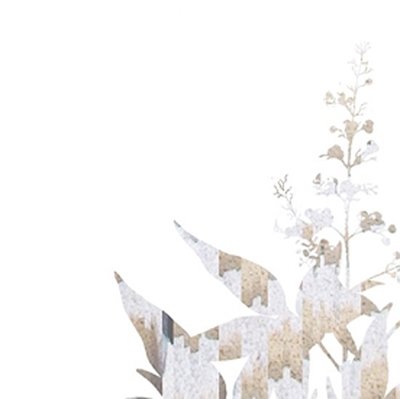 Vitex Negundo Vitex Negundo