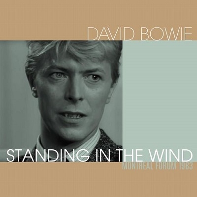 David Bowie/Standing in the WindClear Vinyl/ס[ROXMB054CLEA]