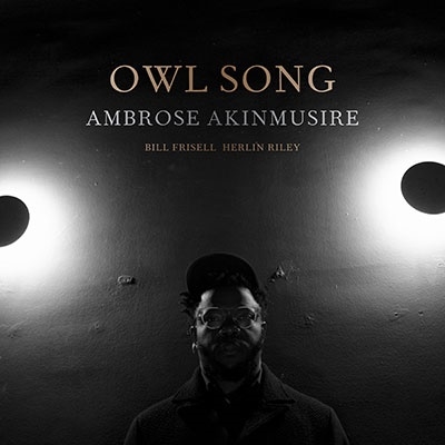 Ambrose Akinmusire/Owl Song