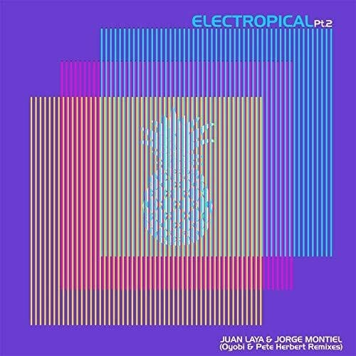 TOWER RECORDS ONLINE㤨Juan Laya/Electropical Pt.2[IMAGEN082]פβǤʤ2,890ߤˤʤޤ