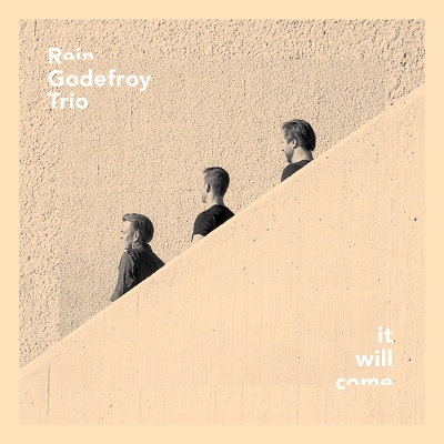 Rein Godefroy Trio/It Will Come[RGT2017]