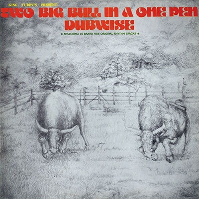 King Tubby/Two Big Bull In A One Pen Dubwise[DSRLP-603]