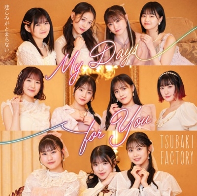 My Days for You/悲しみがとまらない
