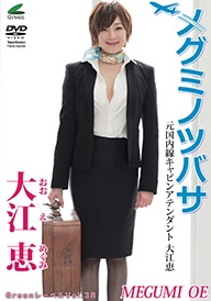 メグミノツバサ メグミノツバサ