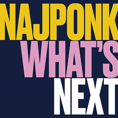 Najponk Trio/What's Next[ANI070]