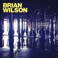Brian Wilson/No Pier Pressure[3791895]