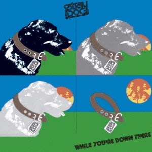 迷える犬 ［プラチナSHM］＜初回生産限定盤＞