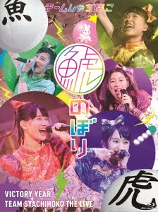 鯱のぼり at 幕張メッセイベントホール＜通常盤＞