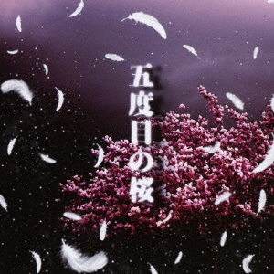 /ܤκ/޺Υ֥󥰡[BLML-047]